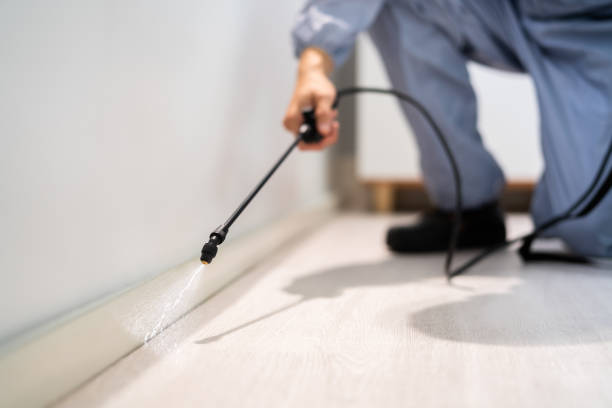 Licensed Pest Control service in Oak Island, NC - Show Me Pest Control