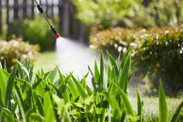 24/7 Emergency Wasp Removal experts in Oak Island, NC