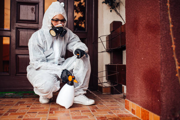 Reliable Wasp Removal contractor in Oak Island, NC by Show Me Pest Control