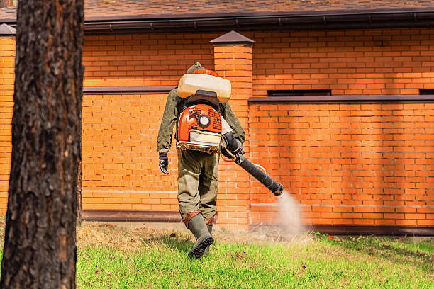 Top rated local Wasp Removal specialists in Oak Island, NC